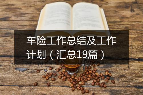 车险工作总结及工作计划（汇总19篇）