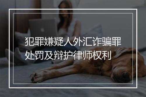 犯罪嫌疑人外汇诈骗罪处罚及辩护律师权利
