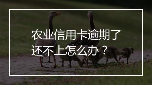 农业信用卡逾期了还不上怎么办？