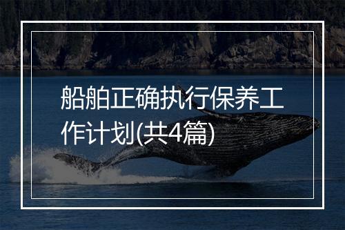 船舶正确执行保养工作计划(共4篇)