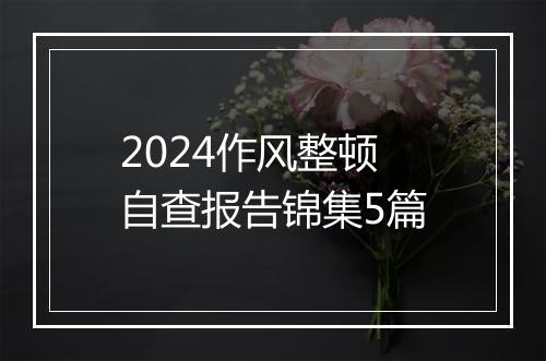 2024作风整顿自查报告锦集5篇