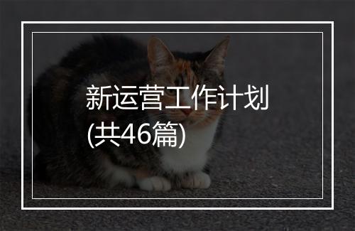 新运营工作计划(共46篇)