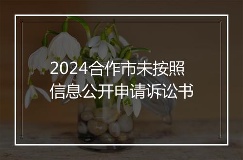 2024合作市未按照信息公开申请诉讼书