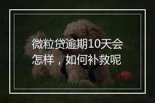 微粒贷逾期10天会怎样，如何补救呢
