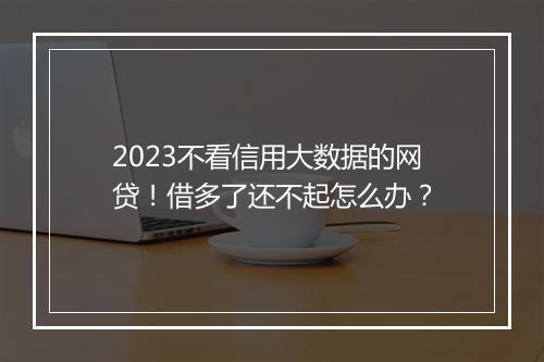 2023不看信用大数据的网贷！借多了还不起怎么办？