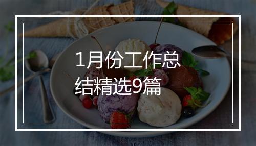 1月份工作总结精选9篇