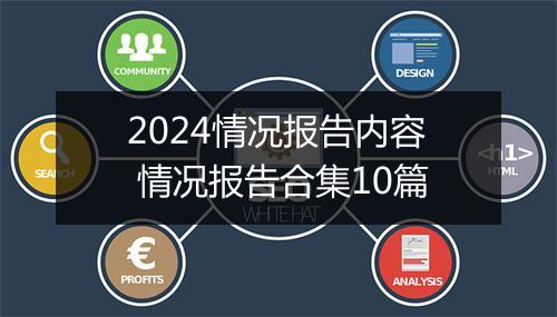 2024情况报告内容 情况报告合集10篇