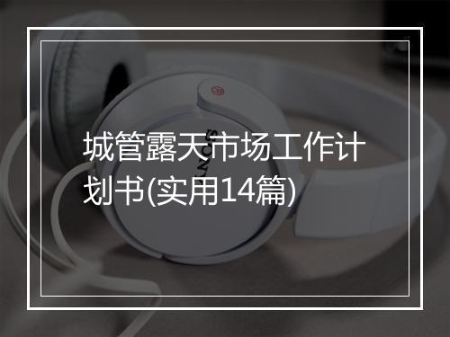 城管露天市场工作计划书(实用14篇)