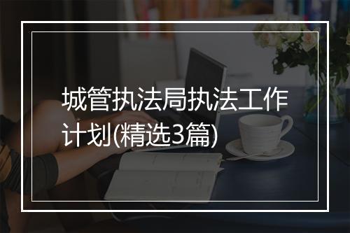 城管执法局执法工作计划(精选3篇)