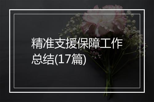 精准支援保障工作总结(17篇)