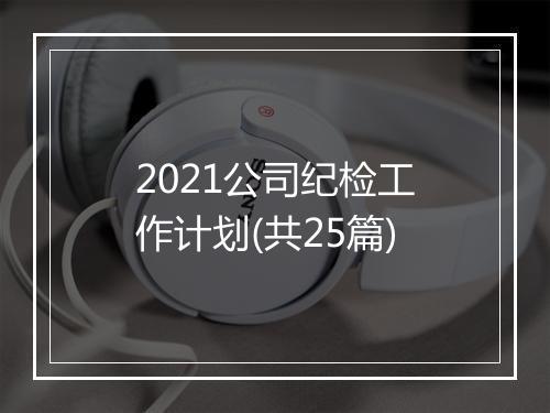 2021公司纪检工作计划(共25篇)