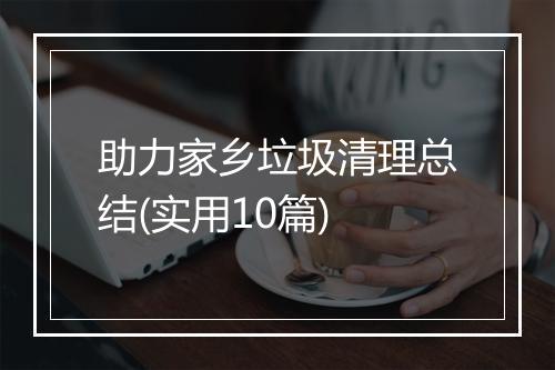 助力家乡垃圾清理总结(实用10篇)