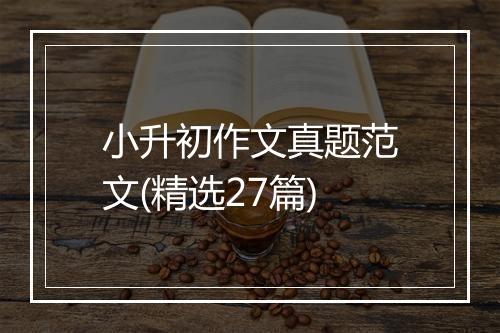 小升初作文真题范文(精选27篇)