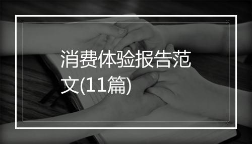 消费体验报告范文(11篇)