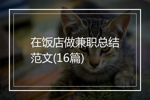 在饭店做兼职总结范文(16篇)