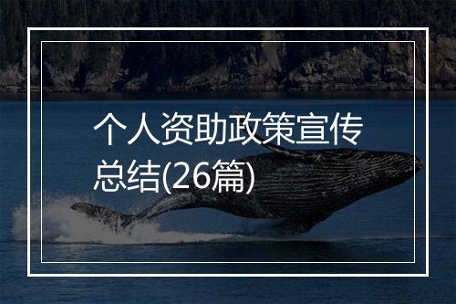 个人资助政策宣传总结(26篇)