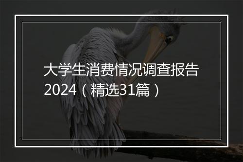 大学生消费情况调查报告2024（精选31篇）