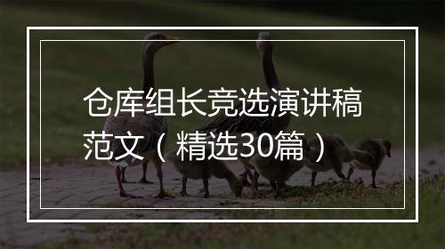 仓库组长竞选演讲稿范文（精选30篇）