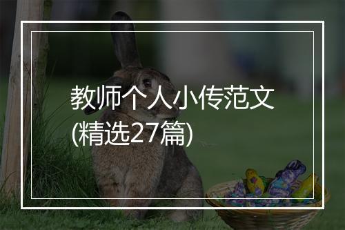 教师个人小传范文(精选27篇)