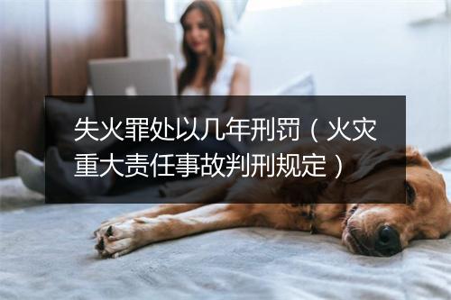 失火罪处以几年刑罚（火灾重大责任事故判刑规定）