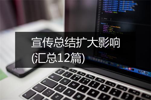宣传总结扩大影响(汇总12篇)