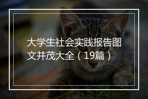 大学生社会实践报告图文并茂大全（19篇）