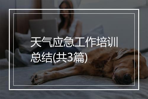 天气应急工作培训总结(共3篇)