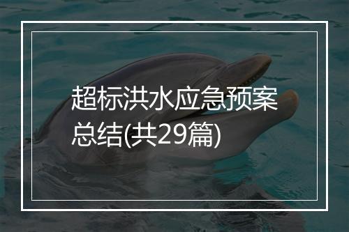 超标洪水应急预案总结(共29篇)