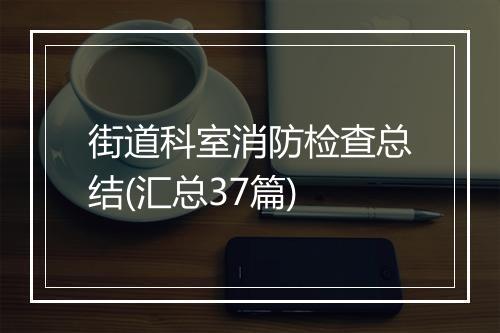 街道科室消防检查总结(汇总37篇)