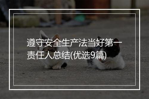 遵守安全生产法当好第一责任人总结(优选9篇)