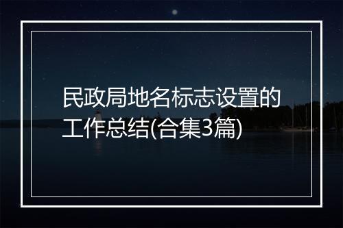 民政局地名标志设置的工作总结(合集3篇)