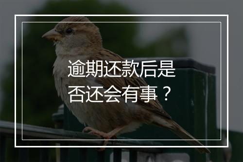 逾期还款后是否还会有事？