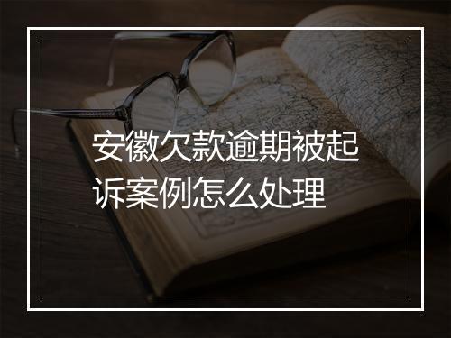 安徽欠款逾期被起诉案例怎么处理