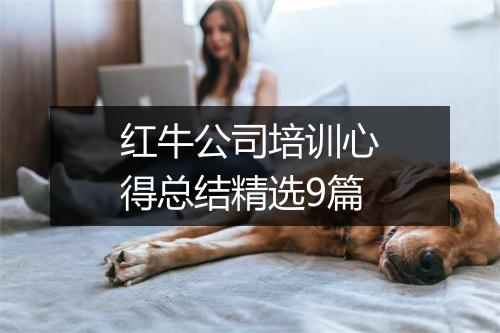 红牛公司培训心得总结精选9篇
