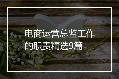 电商运营总监工作的职责精选9篇