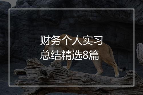 财务个人实习总结精选8篇