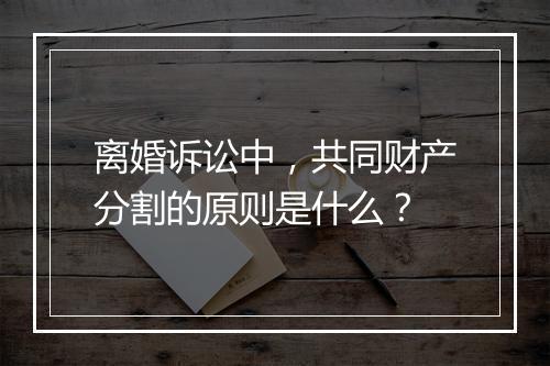 离婚诉讼中，共同财产分割的原则是什么？