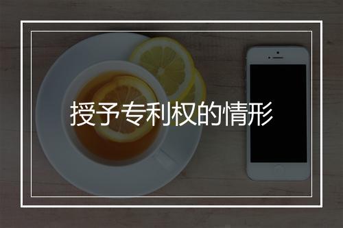 授予专利权的情形