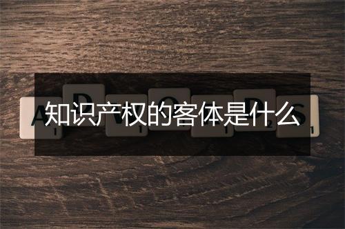 知识产权的客体是什么