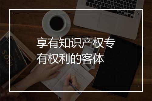 享有知识产权专有权利的客体