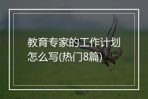 教育专家的工作计划怎么写(热门8篇)