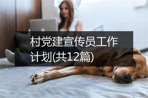 村党建宣传员工作计划(共12篇)