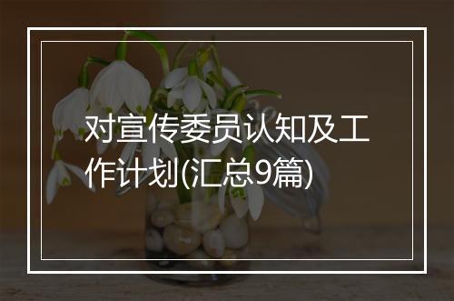 对宣传委员认知及工作计划(汇总9篇)
