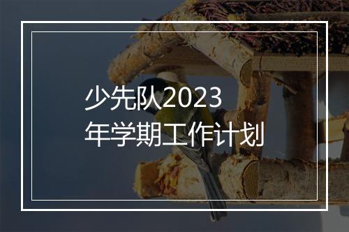 少先队2023年学期工作计划