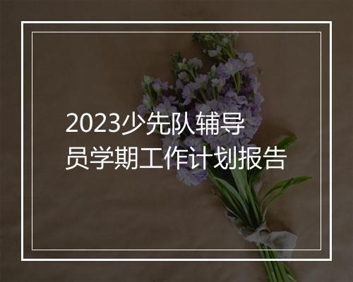 2023少先队辅导员学期工作计划报告
