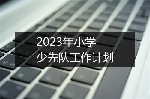 2023年小学少先队工作计划