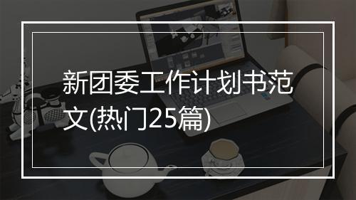 新团委工作计划书范文(热门25篇)