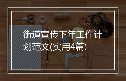 街道宣传下年工作计划范文(实用4篇)