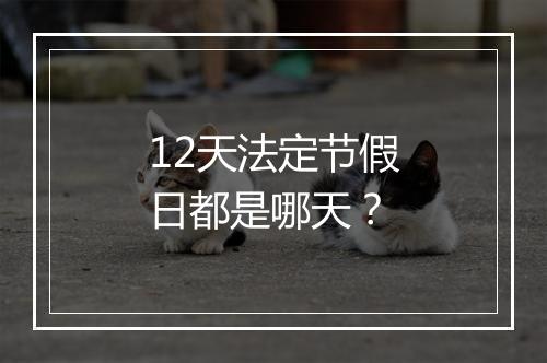 12天法定节假日都是哪天？