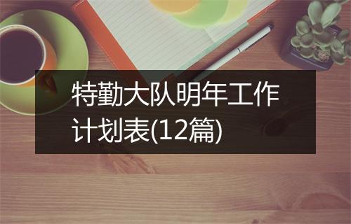 特勤大队明年工作计划表(12篇)